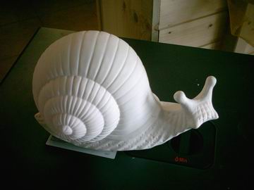 Schnecke 311.JPG